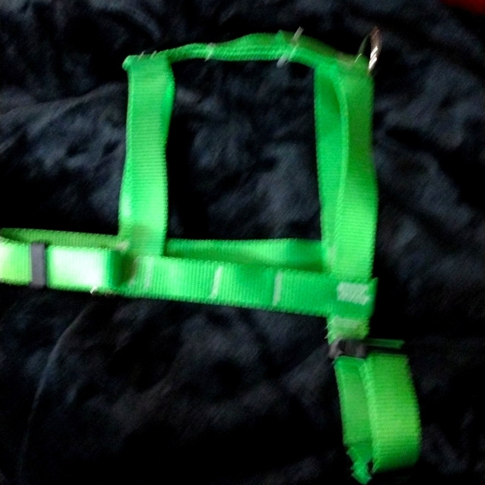 Easy on easy off dog harness on heavy duty neon green